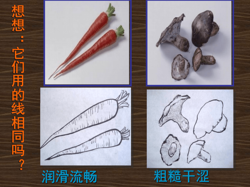 第17课蔬果白描 课件(共29张PPT)人美版（北京） 五年级上册美术