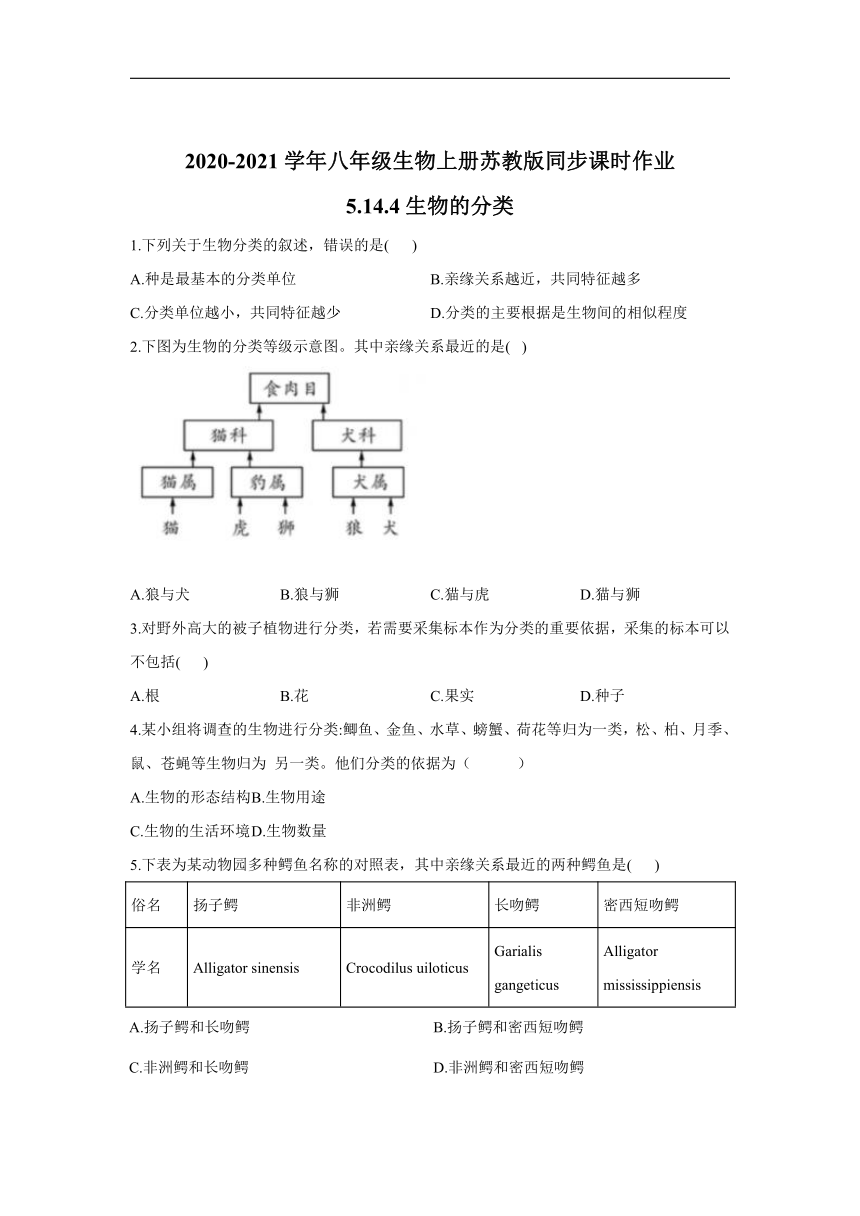 5.14.4 生物的分类 课时作业（含解析）