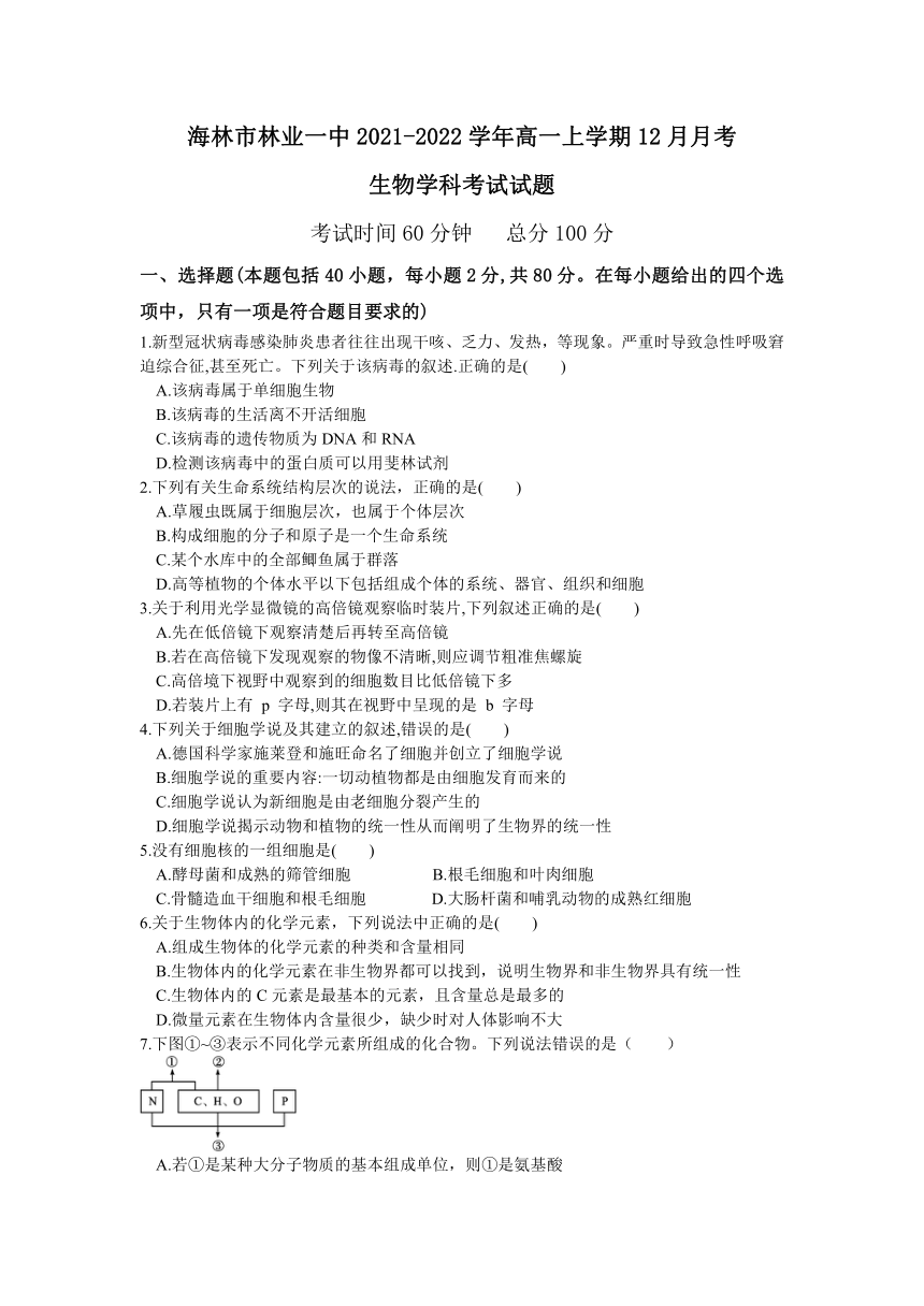 黑龙江省牡丹江市海林市林业一中2021-2022学年高一上学期12月月考生物试题（Word版含答案）