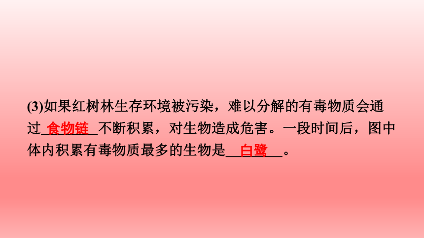 2023年人教版七年级生物上册复习课件 (共22张PPT)读图理解