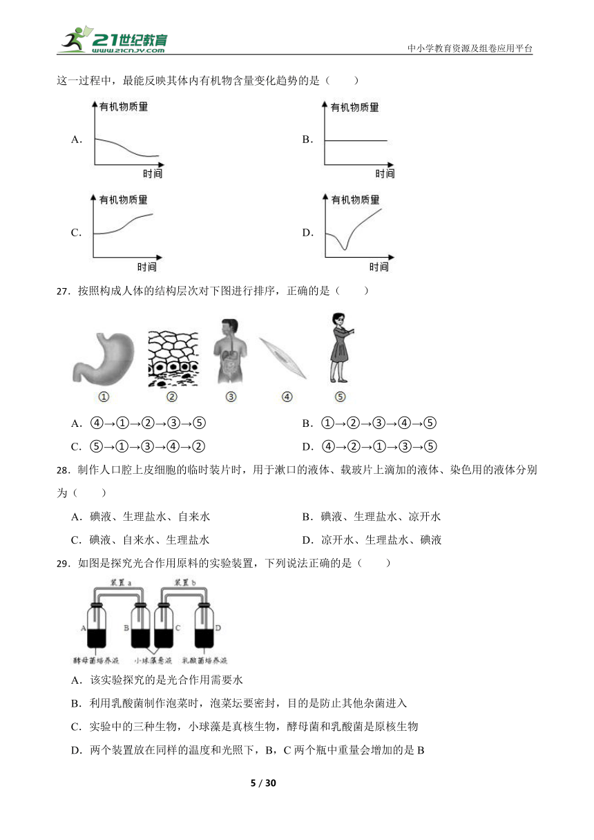 北师大版生物七年级上册期末模拟试卷（二）（含解析）