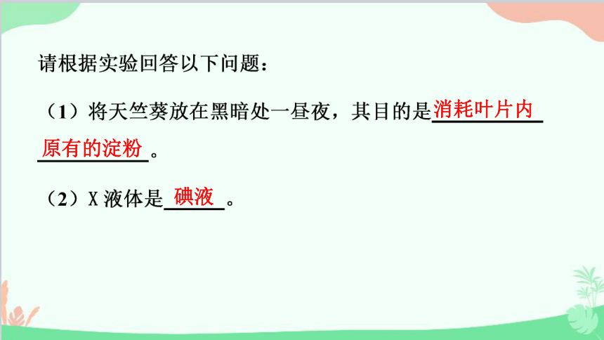 人教版生物七年级上册 3.5.1 光合作用吸收二氧化碳释放氧气 课件 (共28张PPT)