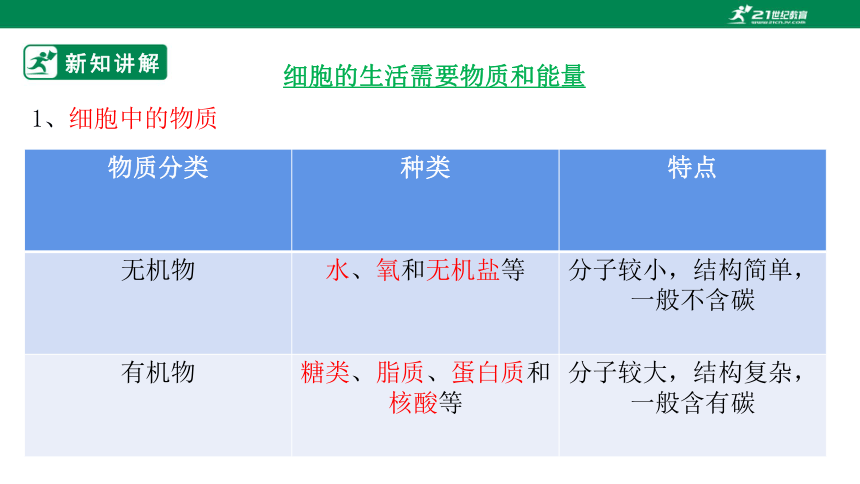 2022-2023学年七年级生物上册2.2.2 动物体的结构层次-同步课件(共28张PPT)