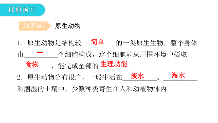 2020-2021学年八年级生物下册（北师大版）22.2  原生生物的主要类群 课件（24张PPT）