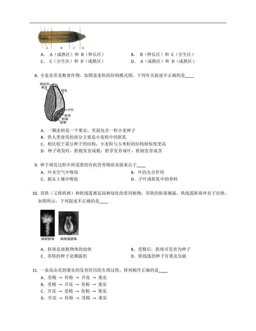 2023届中考生物专题强化训练：被子植物的一生（含答案）