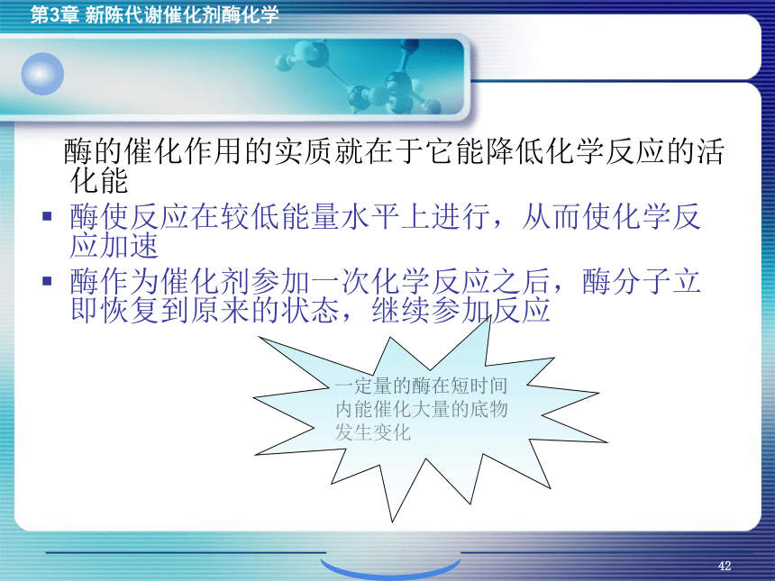 3.3酶作用的机制 课件(共19张PPT)- 《环境生物化学》同步教学（机工版·2020）