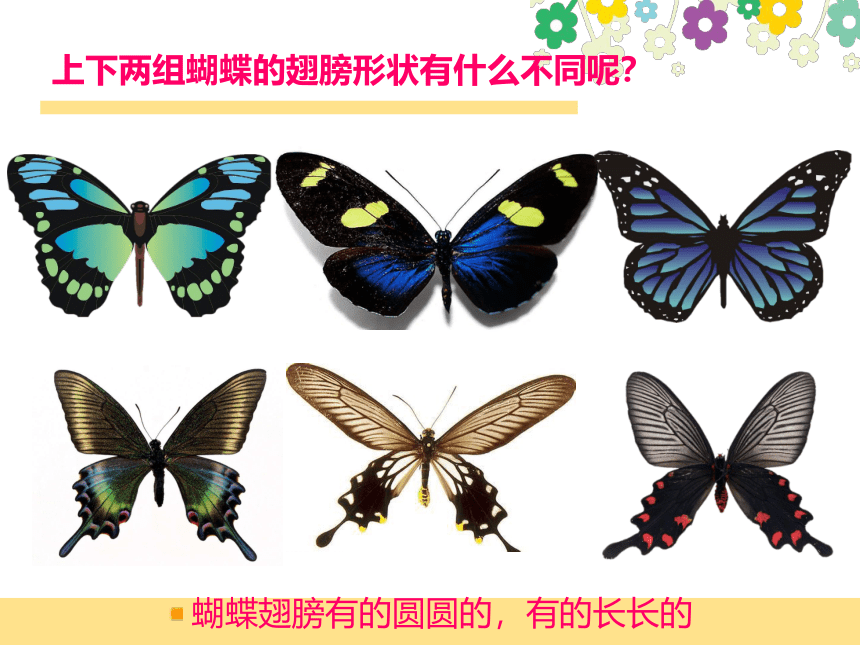 赣美版一下 3.漂亮的蝴蝶 课件（15张PPT）