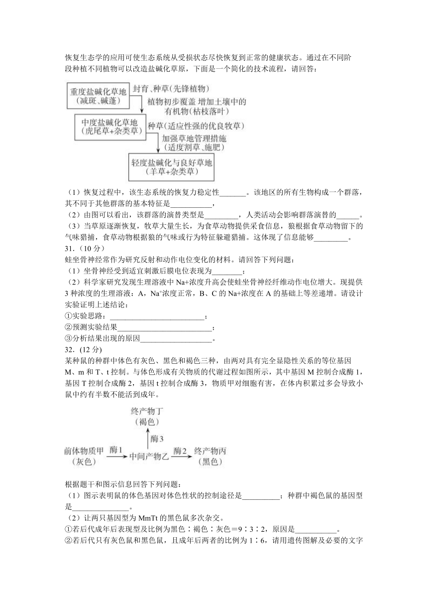 四川省攀枝花市2021届高三下学期第二次统一考试理科综合生物试题 Word版含答案