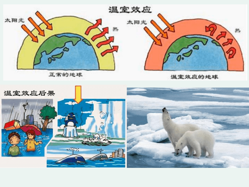 2020-2021学年高一化学4.2.2 环境保护  绿色化学精编课件（人教版必修二）（共24张ppt）