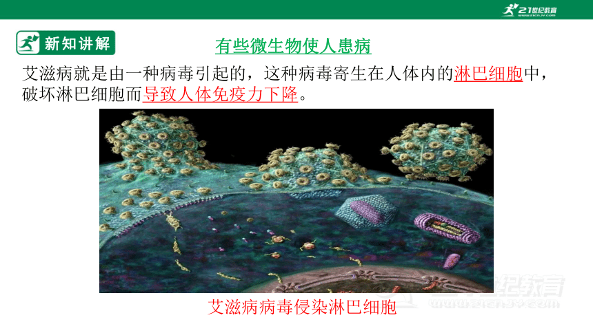 北师大版5.18.2 微生物与人类的关系-2022-2023学年八年级生物上册同步课件(共36张PPT)