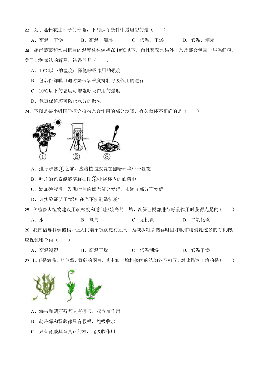 第三单元生物圈中的绿色植物层次单元测试（含答案）人教版（新课程标准）初中生物七年级上册