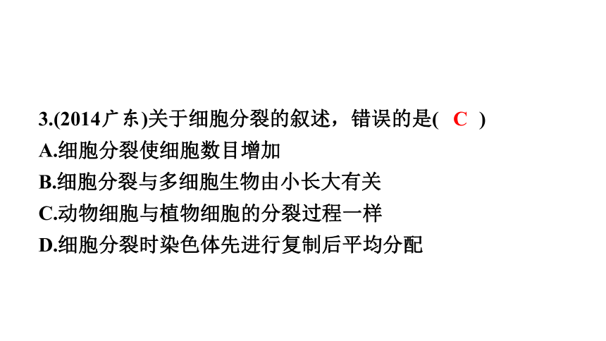 2023年中考生物复习专题课件★★细胞怎样构成生物体