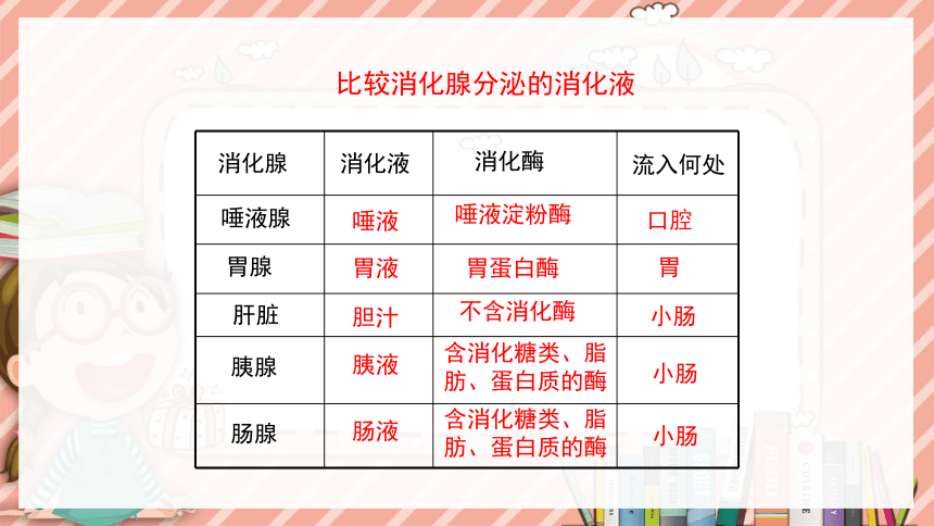 9.2人体的消化与吸收课件(共33张PPT)