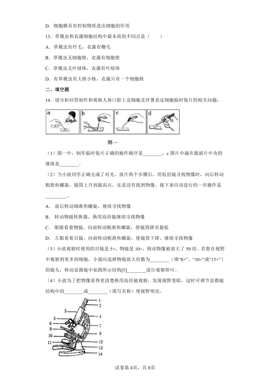 2022年浙江省中考科学专题练习：细胞（含答案）