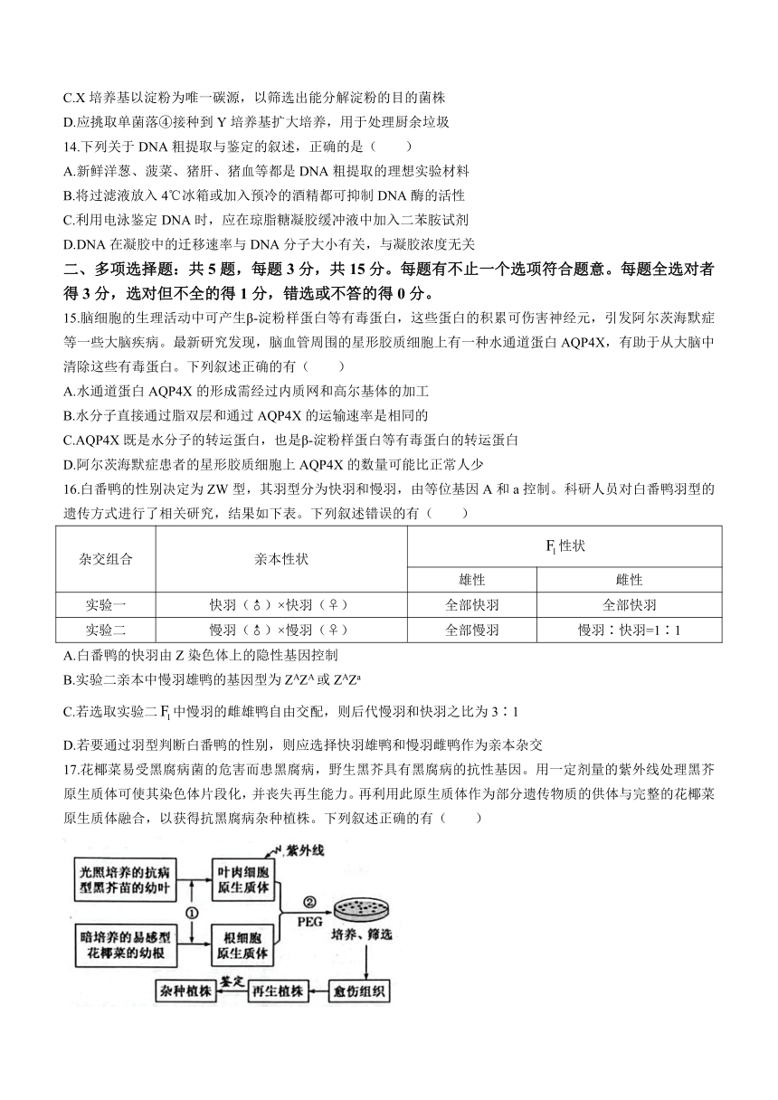 江苏省苏州市2022-2023学年高二下学期期末质量调研考试生物学试题（Word版无答案）