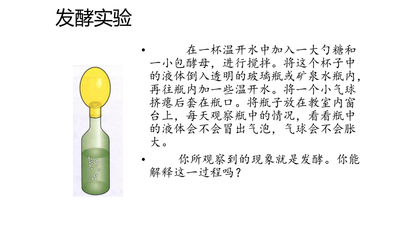 5.4.5 人类对细菌和真菌的利用课件（含58张ppt）