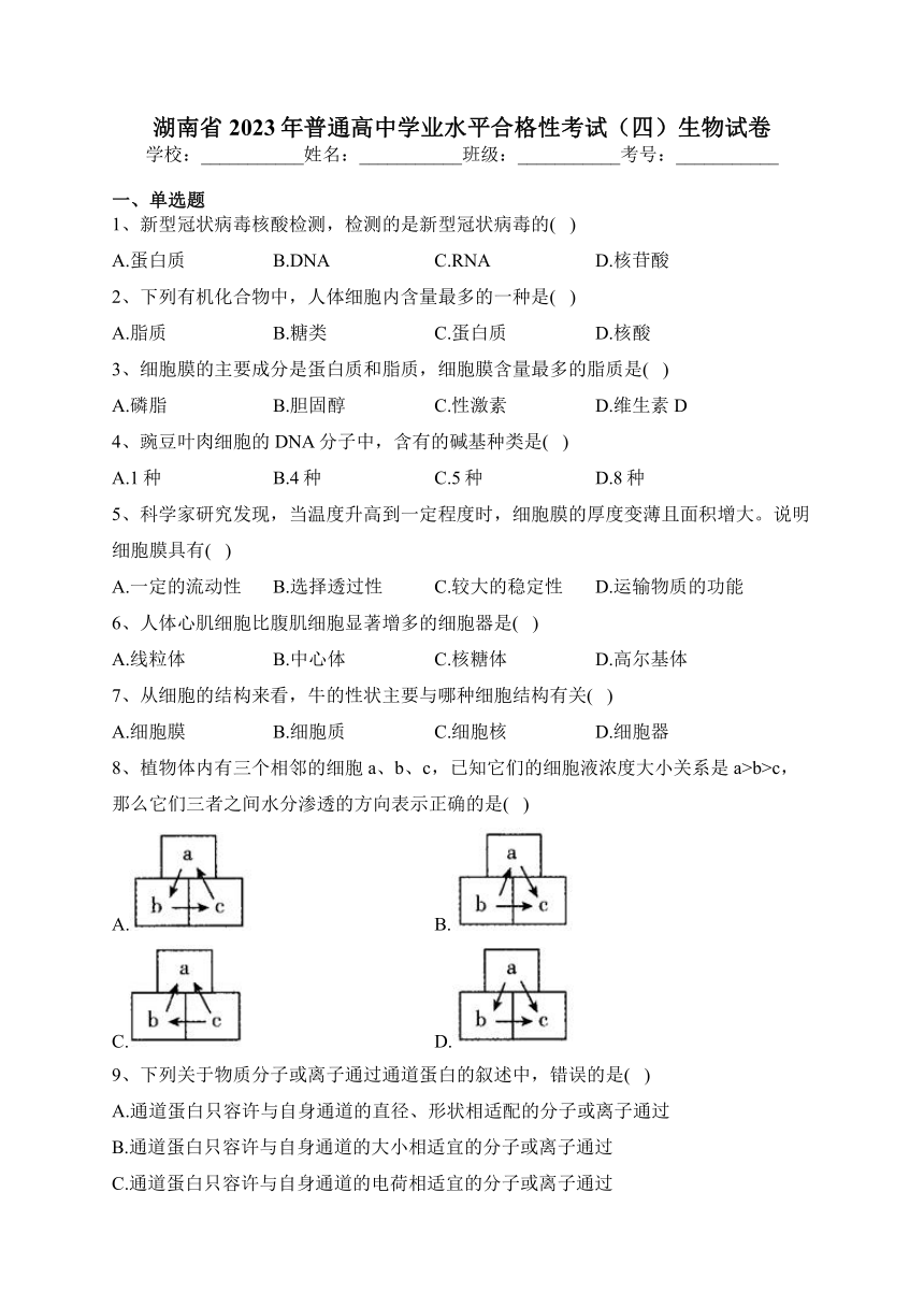 湖南省2023年普通高中学业水平合格性考试（四）生物试卷（含答案）