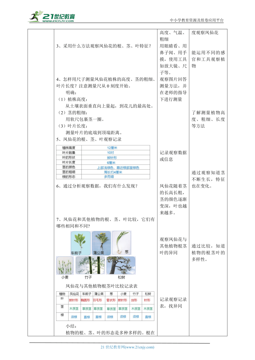 【核心素养目标】2.6《根茎叶》教案