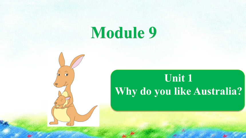 Module 9 Unit 1 Why do you like Australia?课件（18张PPT）