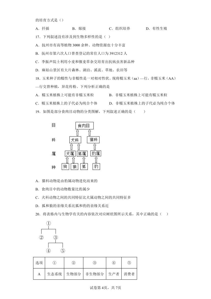 鲁教版生物八年级下册期末检测优化提升训练试题4（含解析）