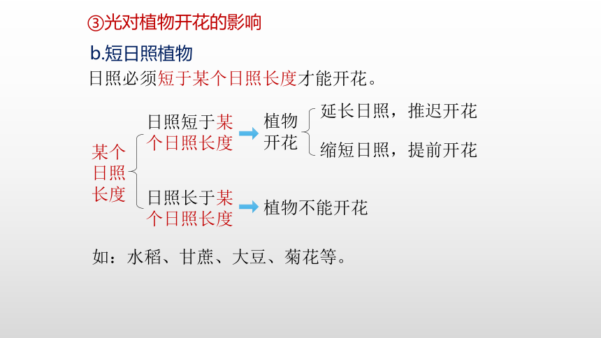 2021—2022学年高中生物人教版（2019）选择性必修一5.4 环境参与调节植物的生命活动课件（29张ppt）