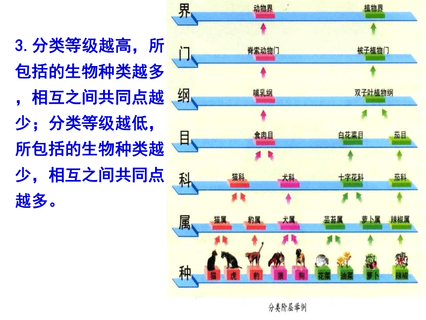 北师大版八年级下册22.1生物的分类  课件（共18张PPT）