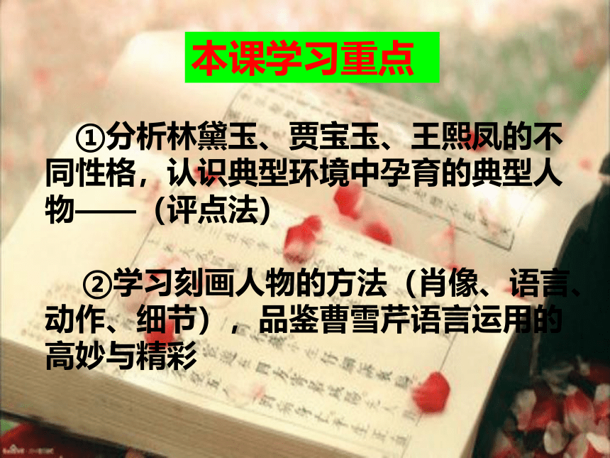 人教版高中语文必修三---1 《林黛玉进贾府》 优秀课件（11张PPT）