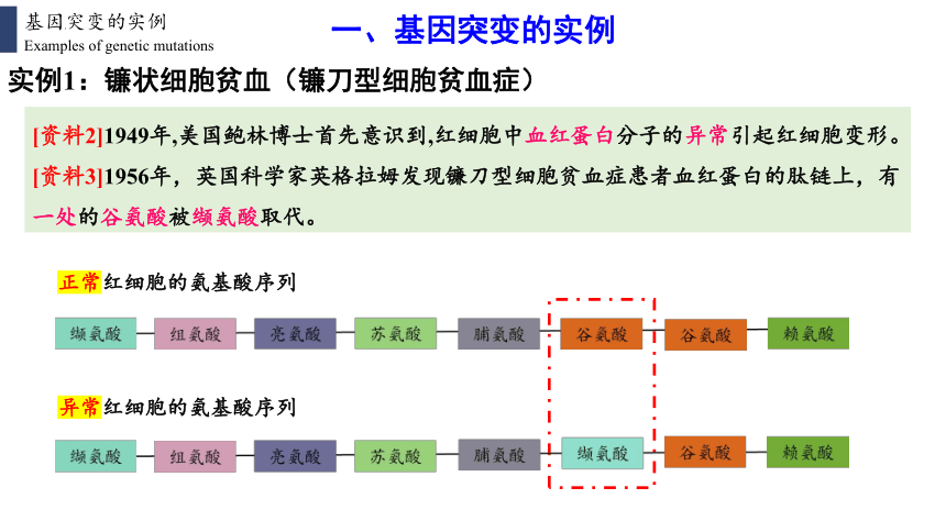 高中生物人教版（2019）必修2 5.1基因突变和基因重组（共42张ppt）