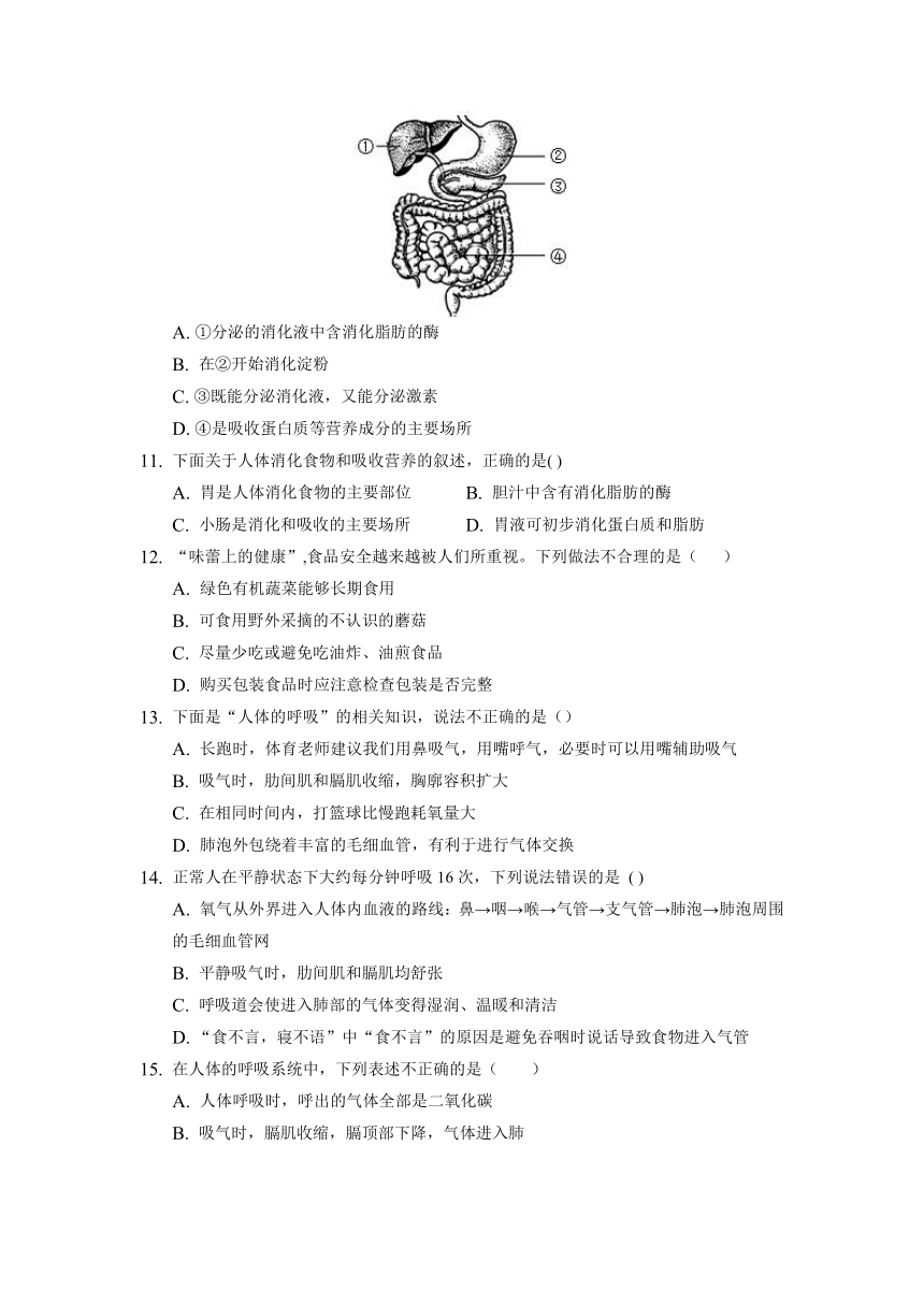 山东省新泰市2021--2022学年七年级上学期期中模拟考试生物试题（word版含答案）