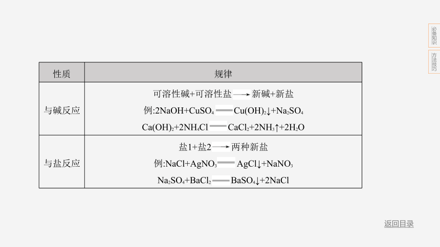 2024年浙江省中考科学二轮复习化学部分：专题五 盐与化肥（课件 24张PPT)