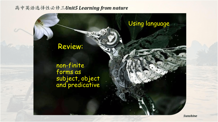 外研版(2019)选择性必修第三册Unit 5 Learning from Nature Using language课件（共27张ppt）