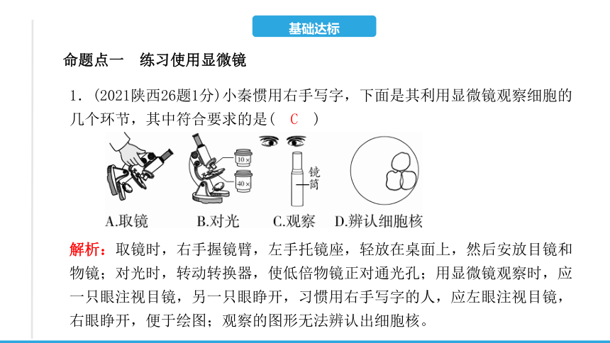 第二单元 第一章　细胞是生命活动的基本单位-2023年中考生物复习习题课件(共15张PPT)