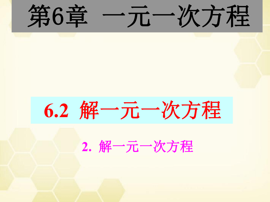 华东师大版七年级下册数学课件：6.2.2 解一元一次方程1(共25张)