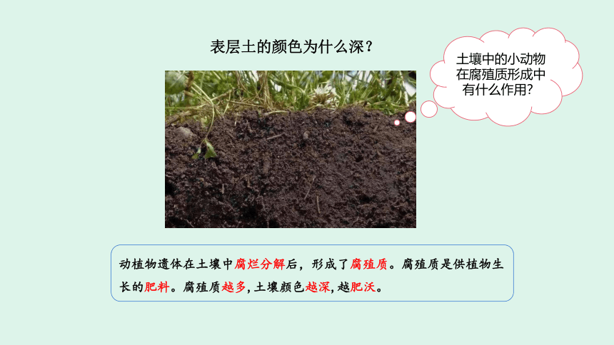 苏教版（2017秋）三年级科学上册6.肥沃的土壤 课件(共11张PPT)（含练习）