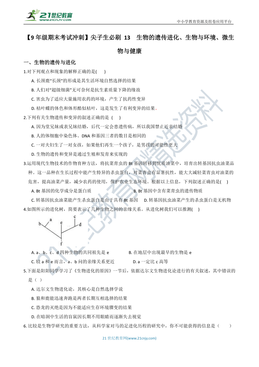 【9年级期末考试冲刺】尖子生必刷 13  生物的遗传进化、生物与环境、微生物与健康（含答案）
