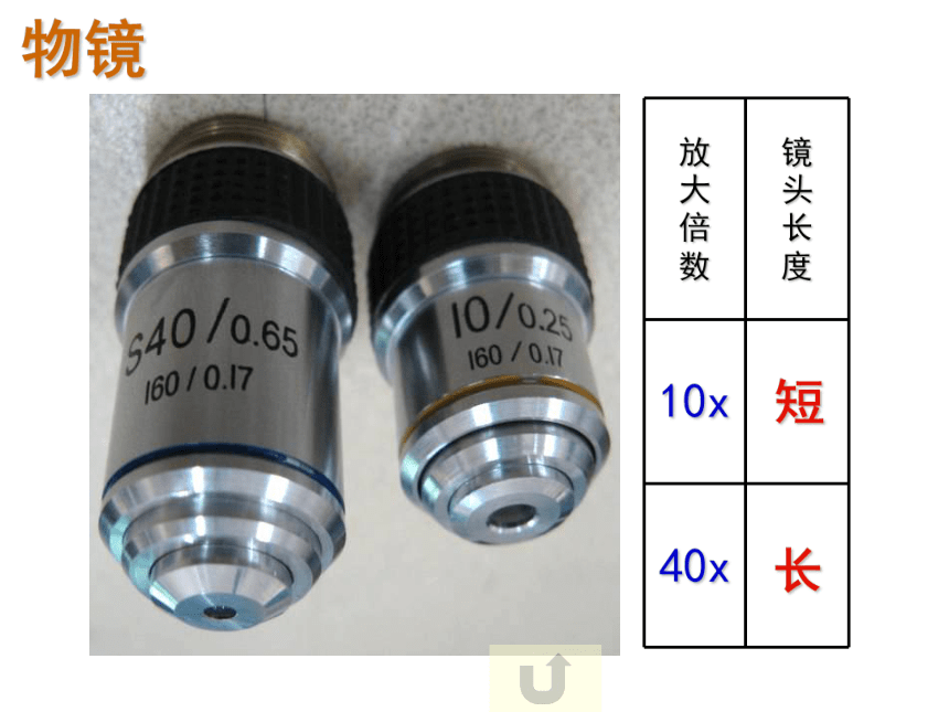 人教版高一生物必修1课件：第一章 显微镜的使用课件（共 51张PPT）