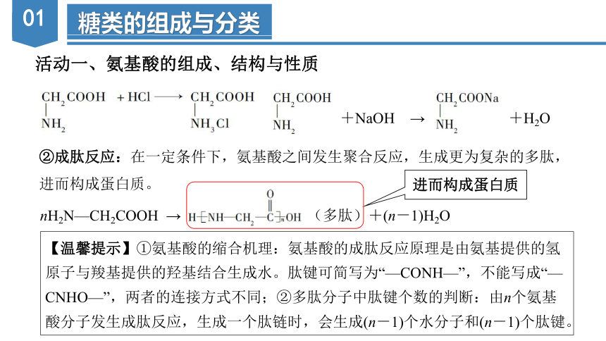 7.4.2  蛋白质（教学课件）-高一化学（人教版2019必修第二册）