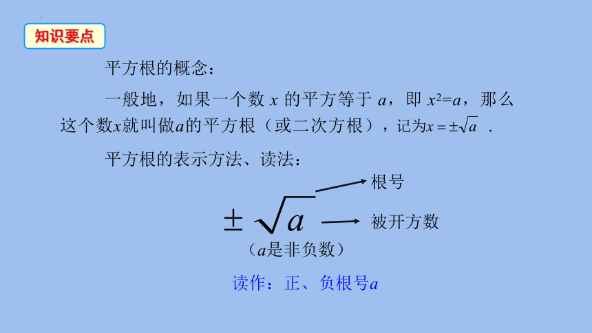 北师大版八年级数学上册2.2平方根课件(共24张PPT)