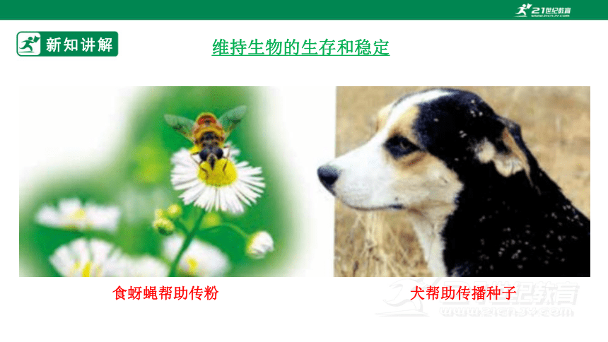 济南版2.2.5 动物在生物圈中的作用-2022-2023学年七年级生物上册同步课件（30页）