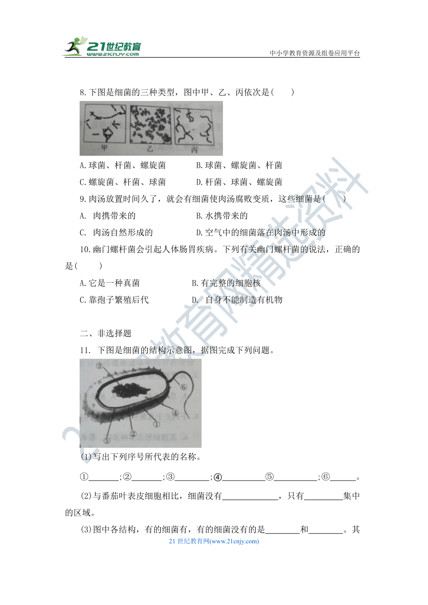 八年级生物上册 5.4.2 细菌 同步练习题（含答案）