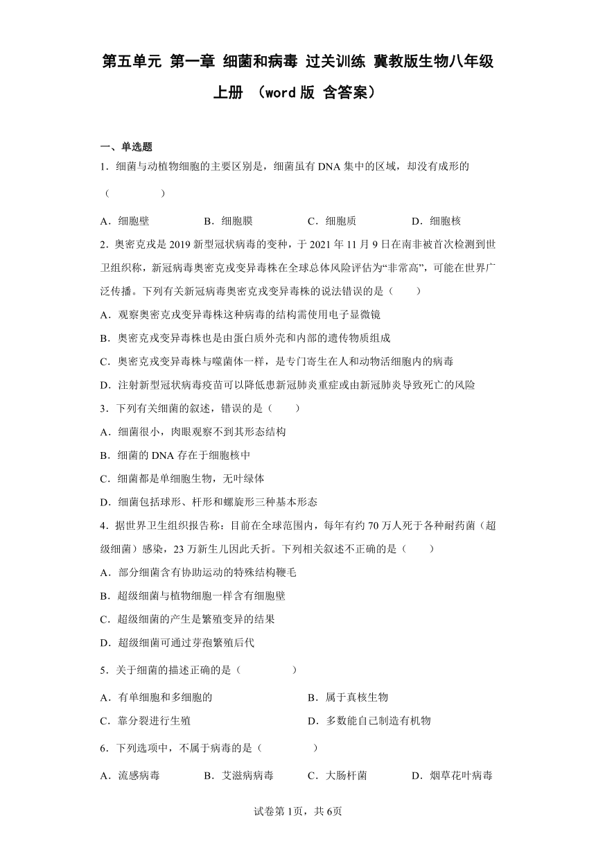 第五单元 第一章 细菌和病毒 过关训练 冀教版生物八年级上册 （word版 含解析 ）