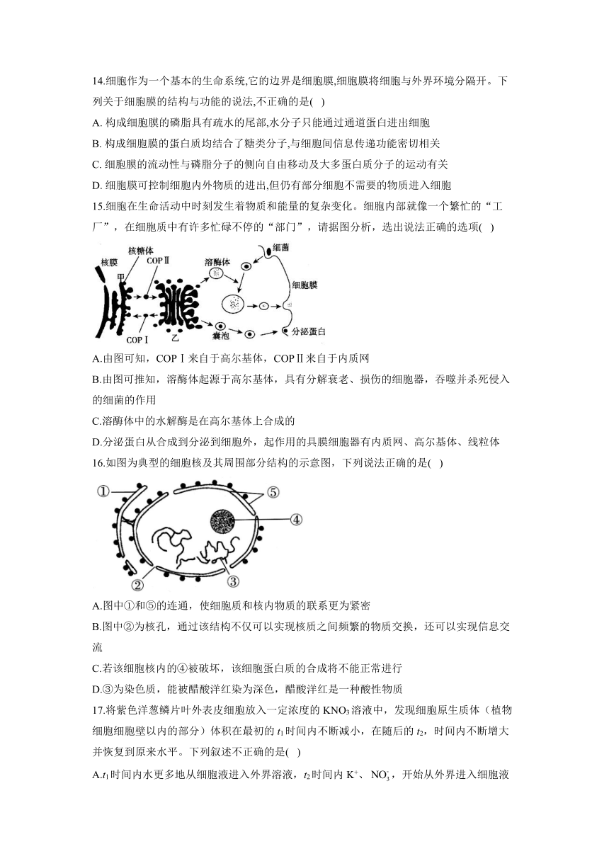 第2章 细胞的结构和生命活动 能力提升2022-2023学年高一上学期生物苏教版必修1（word版含解析）