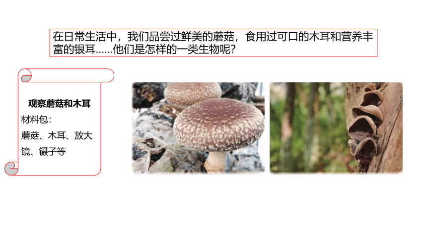 青岛版（六三制2017秋） 六年级上册2.5.蘑菇和木耳（含练习）课件 (共14张PPT)