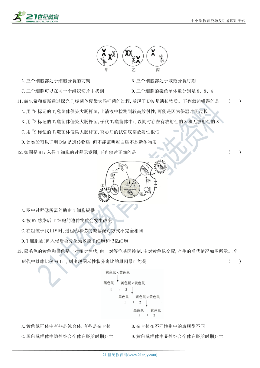 2021年全国高考前全方位强化集训 生物卷(第二套)（含解析）