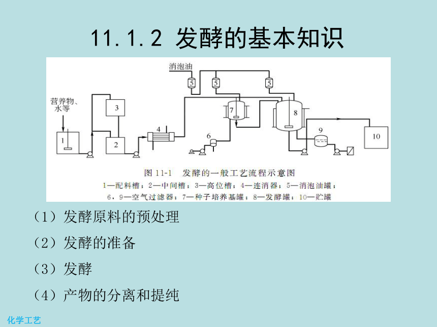 11 柠檬酸的生产 课件(共17张PPT)-《化学工艺（第二版） 》同步教学（化工版）