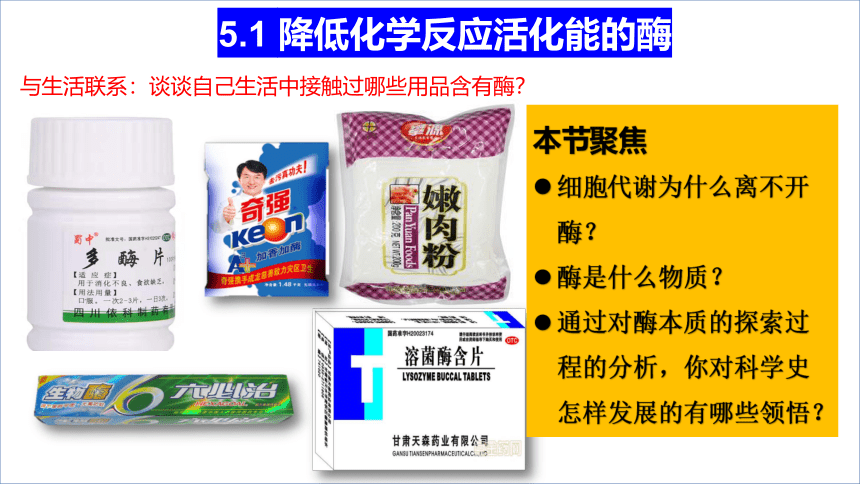 5.1降低化学反应活化能的酶课件(共41张PPT)