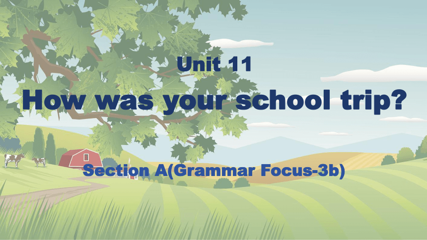 Unit 11 How was your school trip? SectionA (Grammer Focus-3b) 课件(共24张PPT) 2023-2024学年人教版七年级英语下册