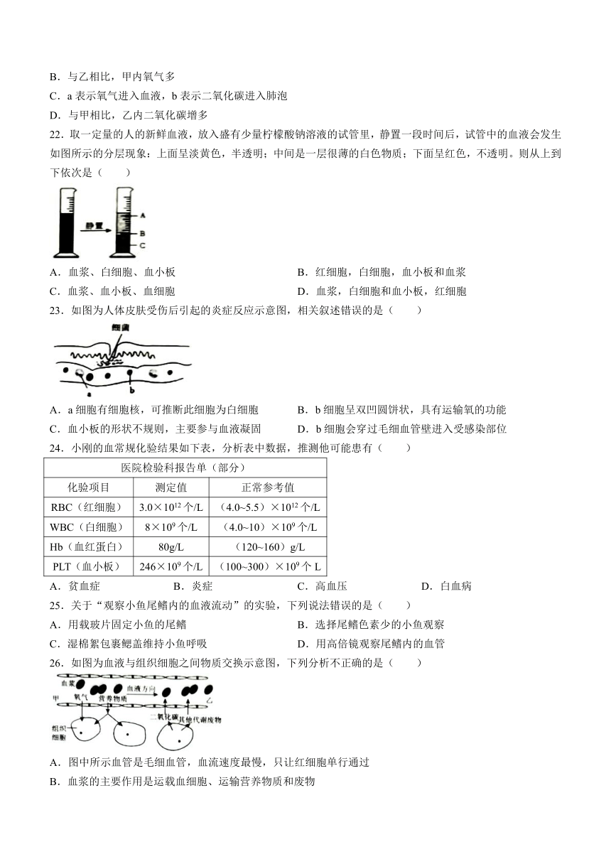 广东省东莞市常平镇2023-2024学年七年级下学期4月期中生物试题（含答案）