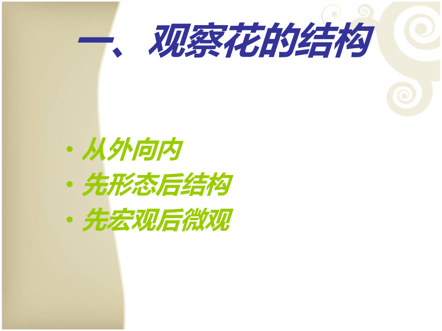 2021—2022学年 人教版生物七年级上册3.2.3 开花和结果  课件(共27张PPT)