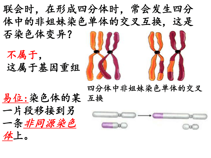 2020-2021学年高一下学期生物人教版必修二5.2染色体变异课件